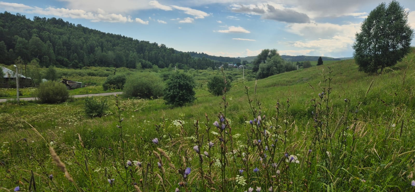 Карагуж